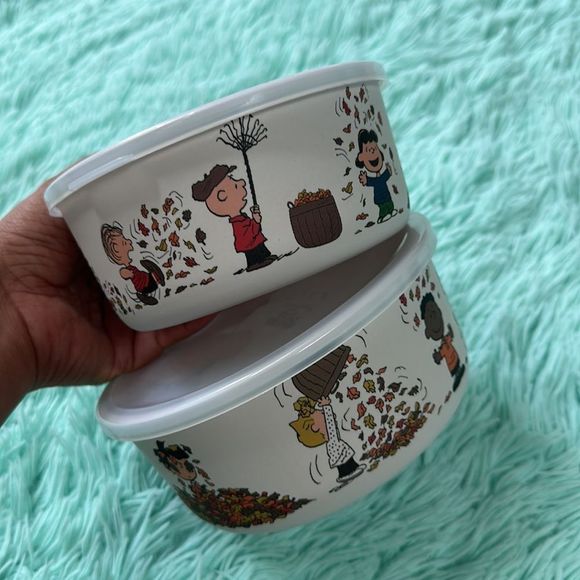 Peanuts snoopy seasonal containers storage perfect for fall thanksgiving… - Picture 5 of 8